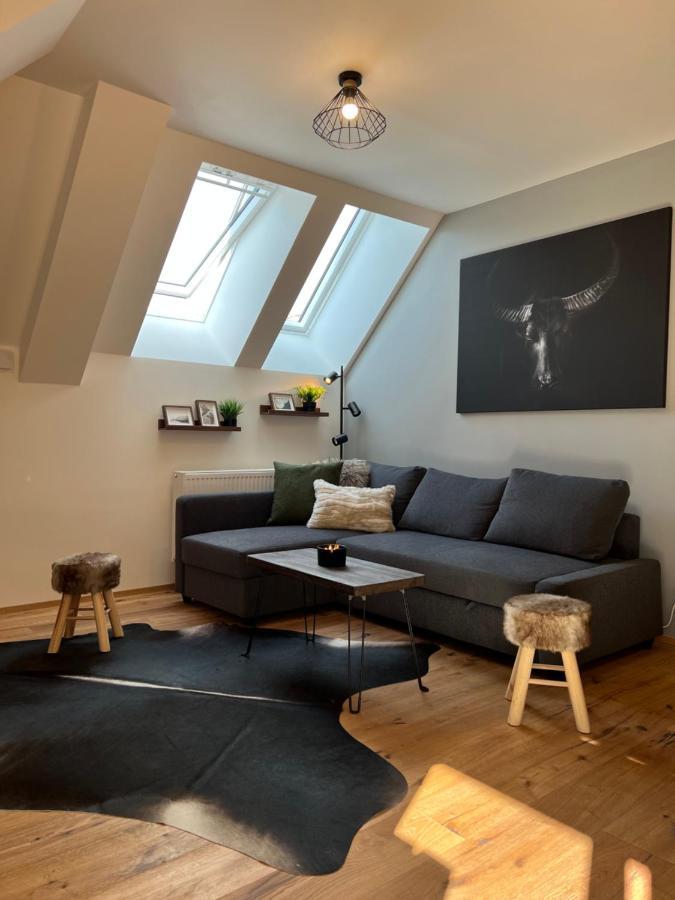 Apartment Alaska Harrachov Εξωτερικό φωτογραφία